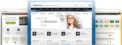 Product picture Premium $85 Wordpress Theme